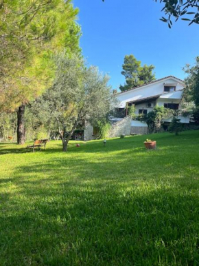 House in Sani,very close to the beach and marina